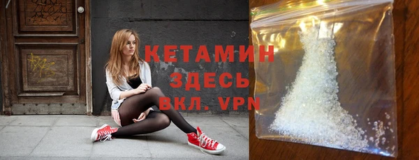 сатива Зерноград