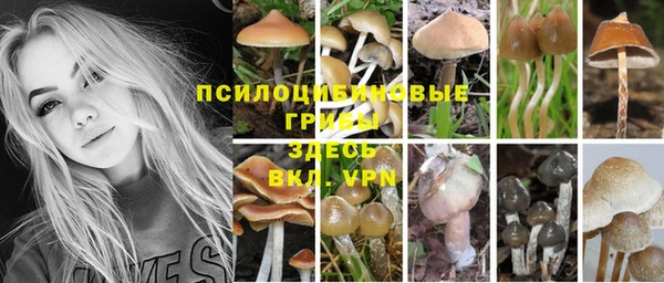 мдпв Зеленодольск