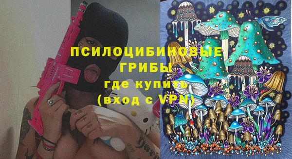 сатива Зерноград