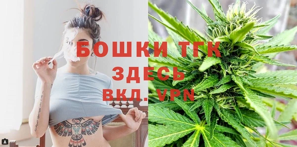 сатива Зерноград