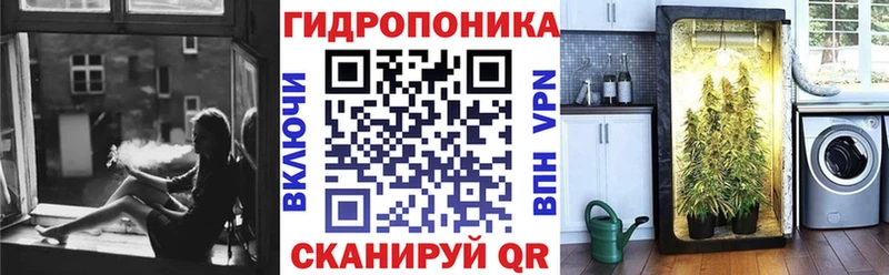 МЕГА онион  Калачинск  Бошки марихуана семена  закладки 
